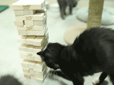 hj2fcd.gif