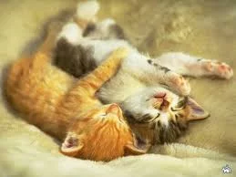 hj2fcg.webp