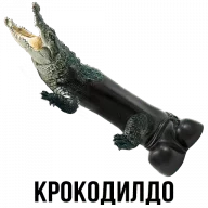 hj3jfg.webp
