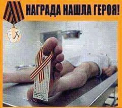 hj6gef.webp