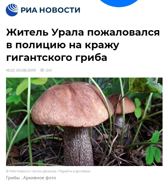 hj7hff.webp