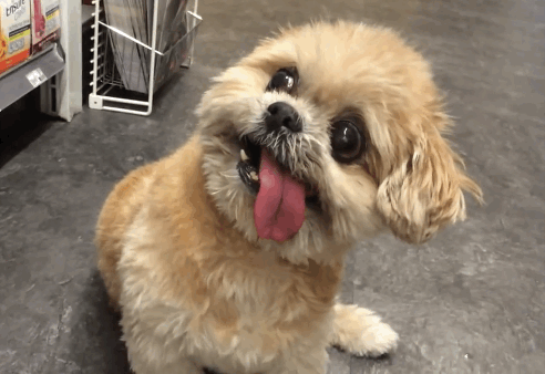 hjcbe2.gif