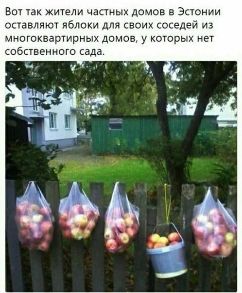 hjdbe0.webp