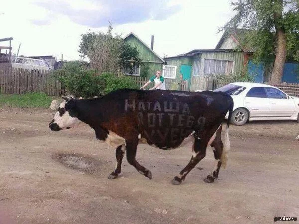 hjdh5g.webp