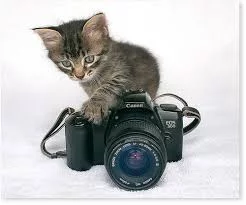 hje2ab.webp