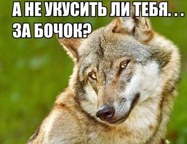 hjeec0.webp