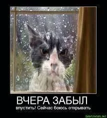 hjfc1j.webp