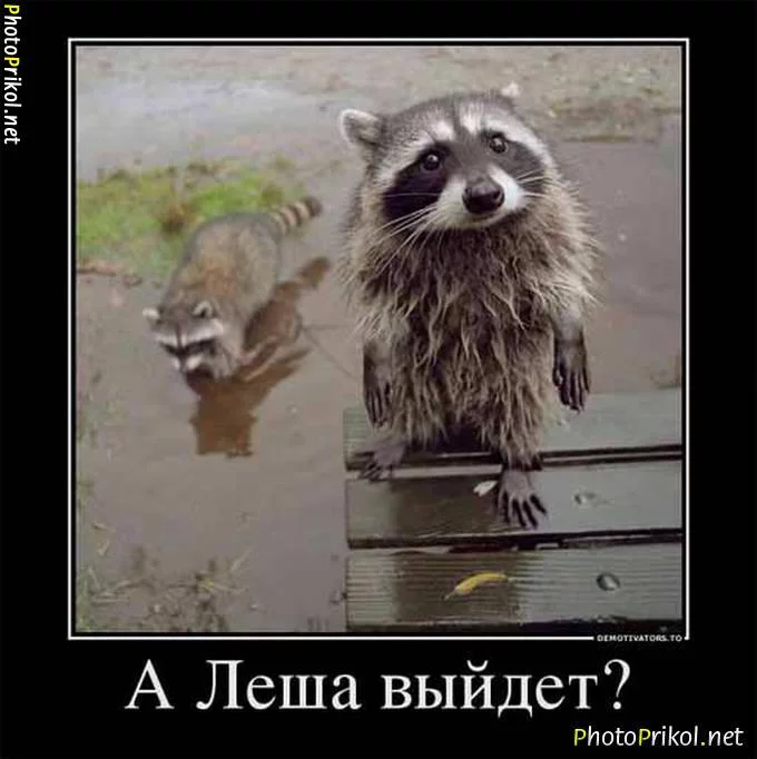 hjh7be.webp