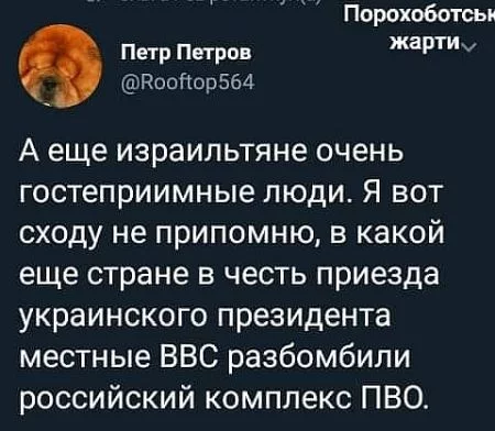 hjhgd2.webp