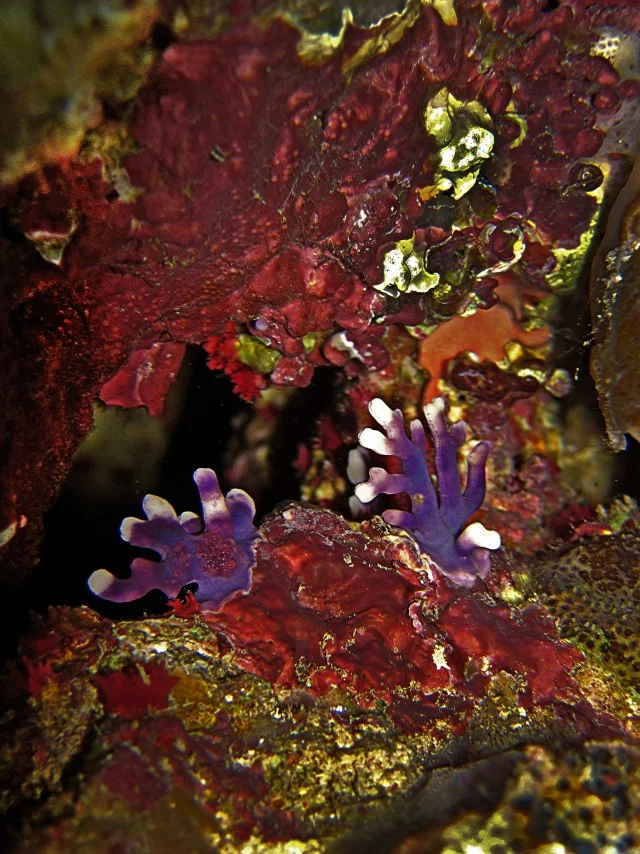 hjjc6h.webp