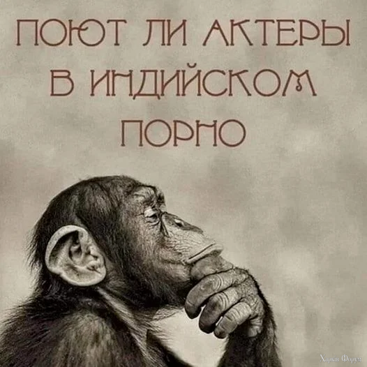 HODeAFKXMAAH9dt.webp