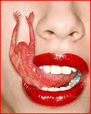hohmodrom_jTnr80SBFg.webp