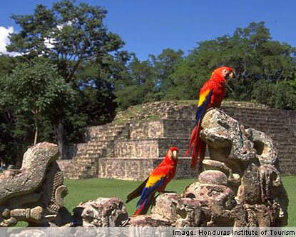 honduras-animals.jpg