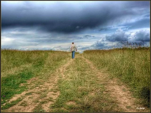 horizont.webp