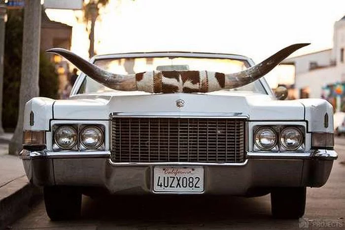 horns_14.webp