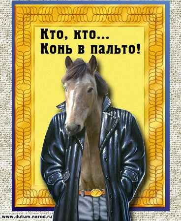 horse.jpg