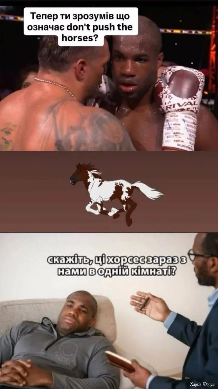 Horses .webp