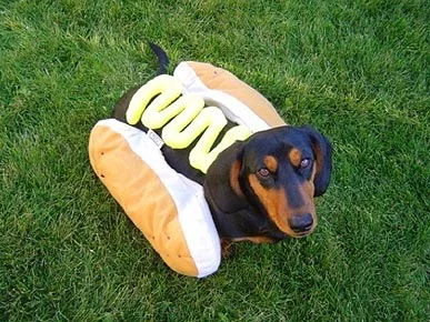 Hot-Dogs_14.webp