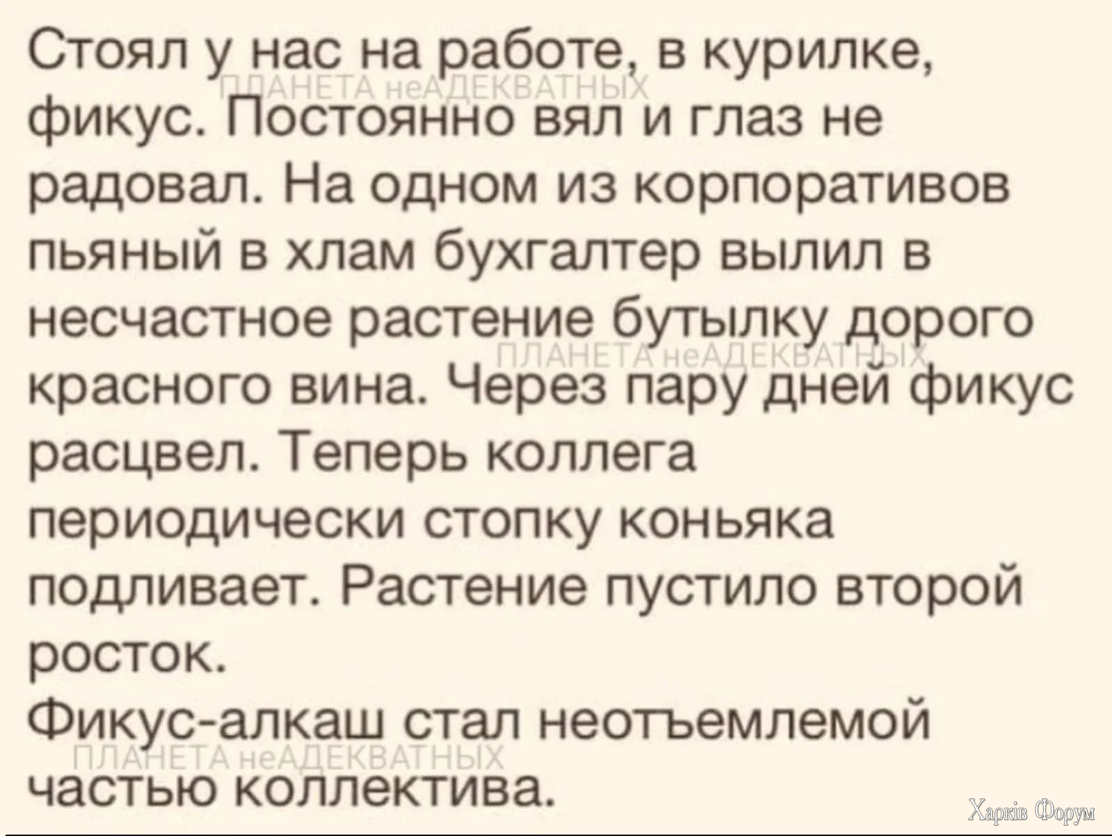 HRlcbRvaEAA9lbF.webp