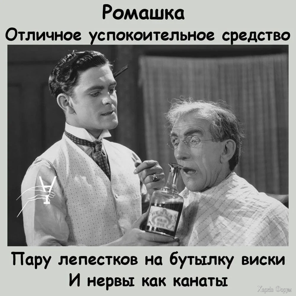 HS626zAaQAEHjDD.webp