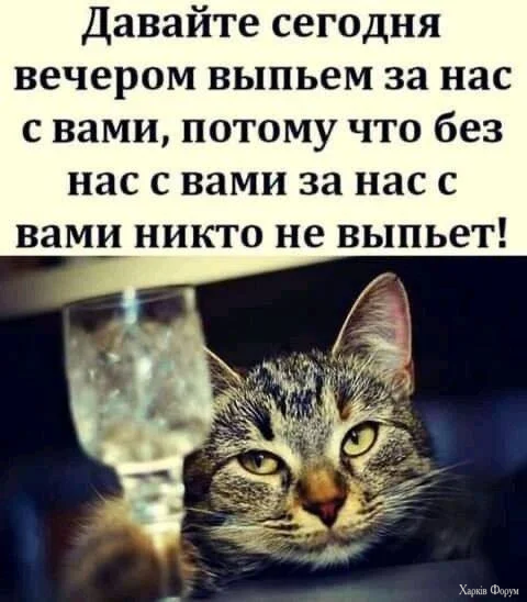 HS_I3q0WwAAMWSf.webp