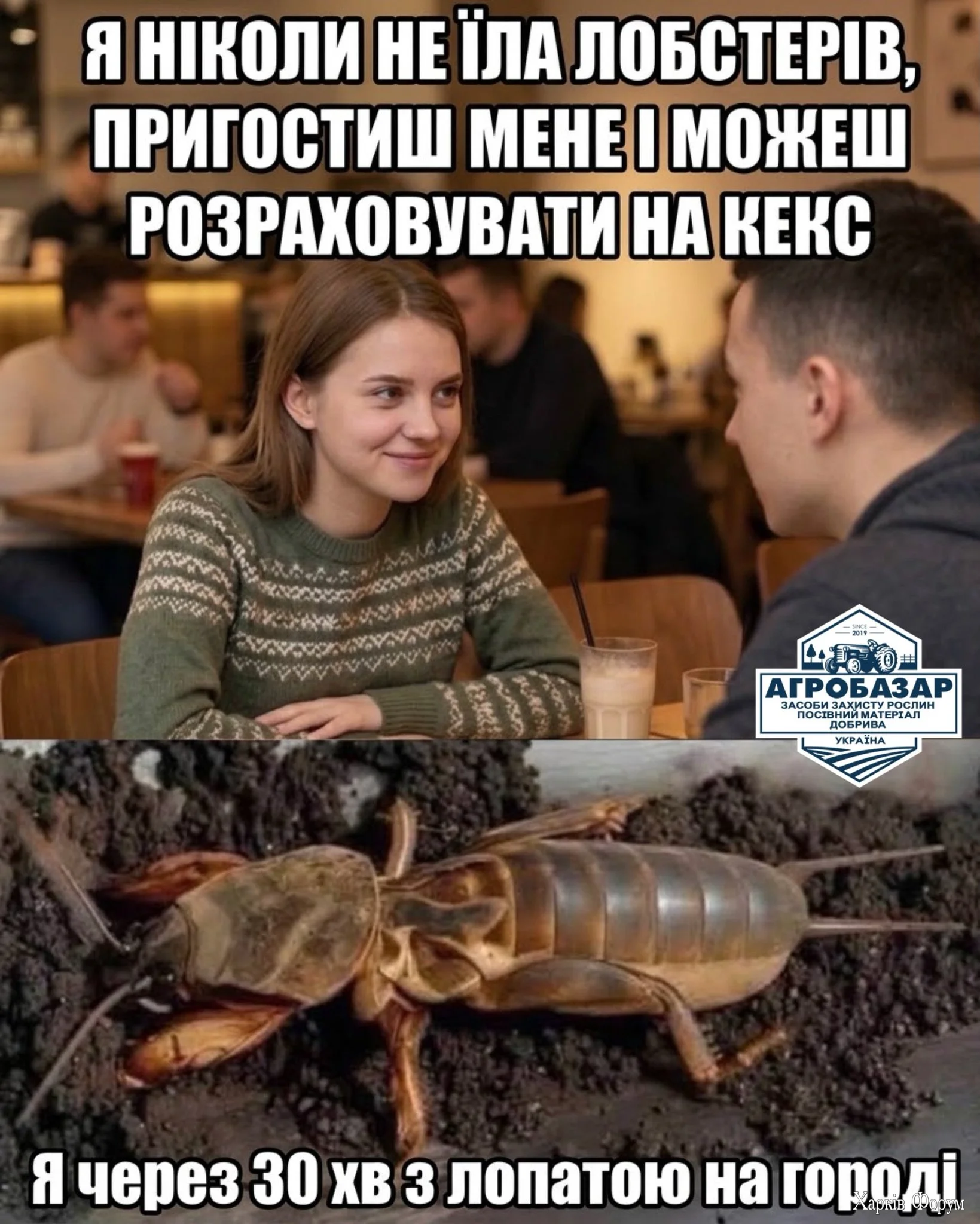HS_WHAPXEAAISKz.webp