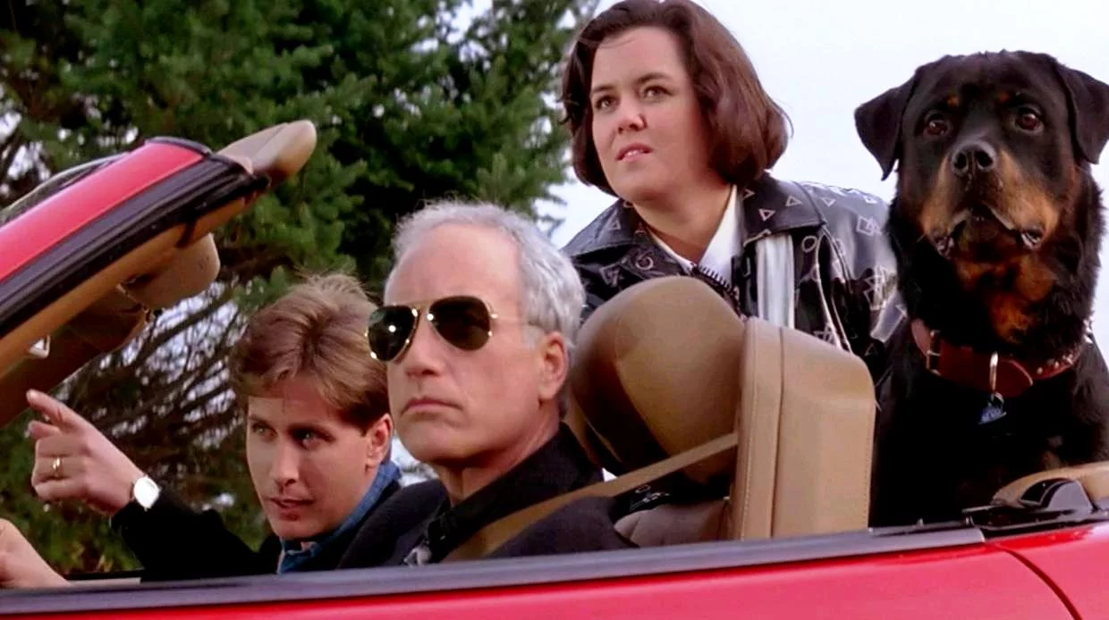 hshie-filmyi-v-retsenziyah-Another-Stakeout-1993-1.webp