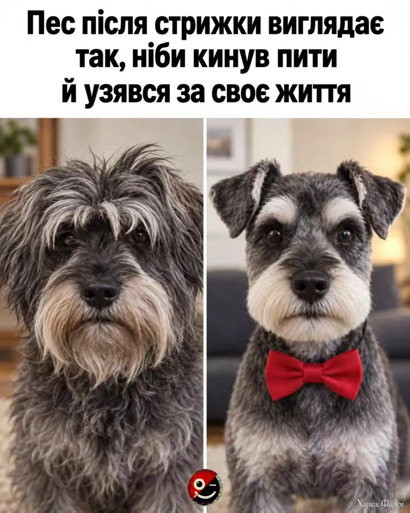 HStm-whWcAAzMdp.webp