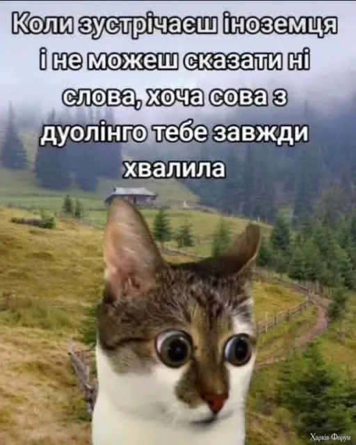 HTKB9QZWEAABoT9.webp