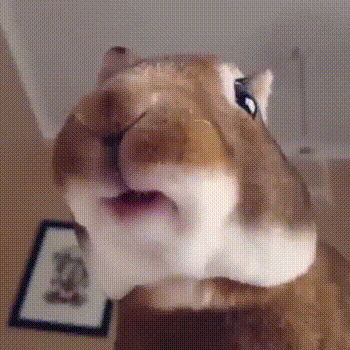 https_vk_com_gif_fak_1.gif
