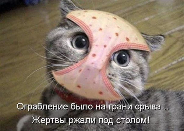 hTZR1iTn6us.webp