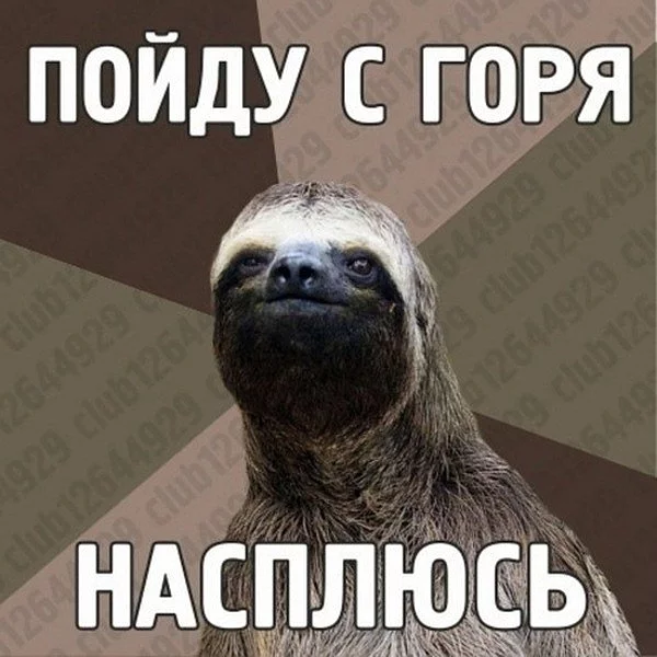 huge.webp