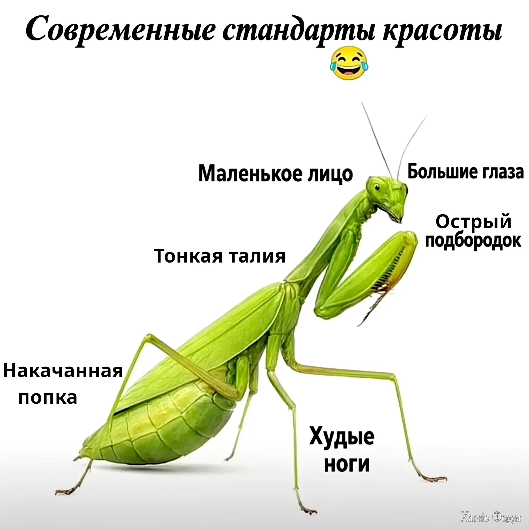 HUIcItNW4AAVaVi.webp