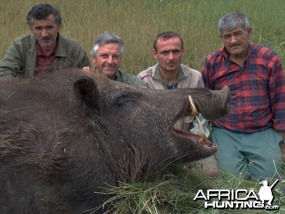 hunting-boar-02.webp