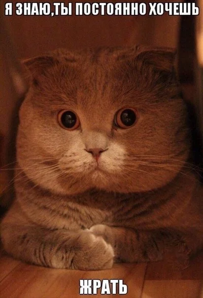 HWnTVnRcmmU.webp