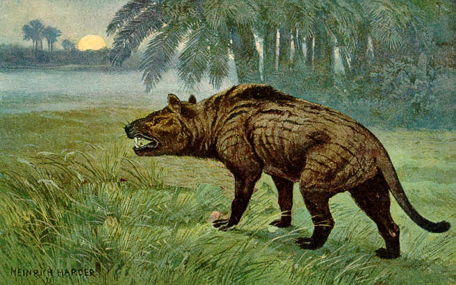 Hyaenodon_Heinrich_Harder.jpg