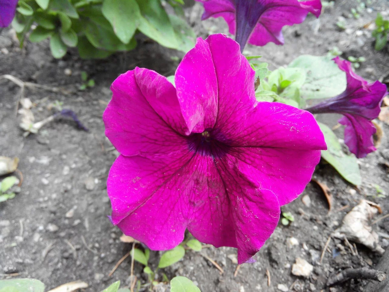 HYmR8t9Xt74.webp