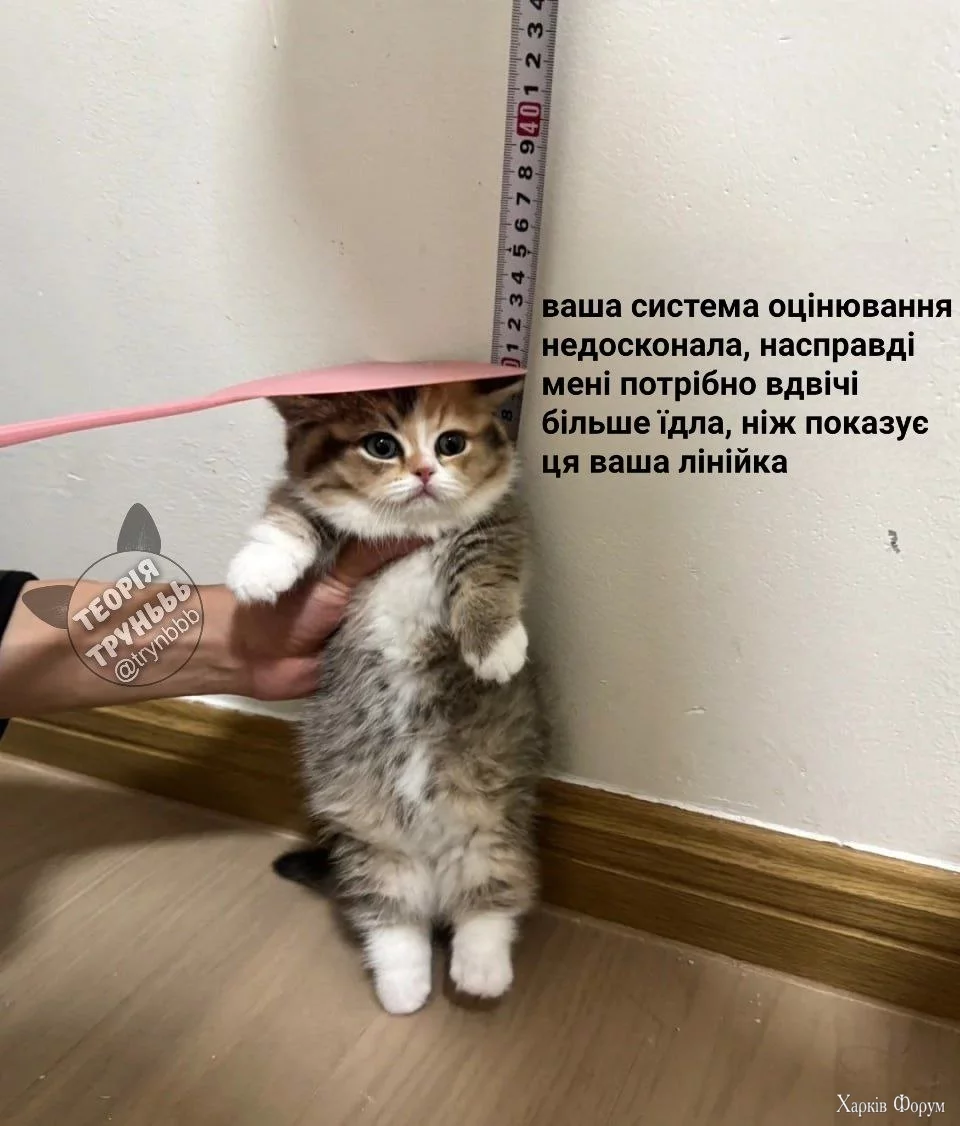  і лічильник їжі.webp
