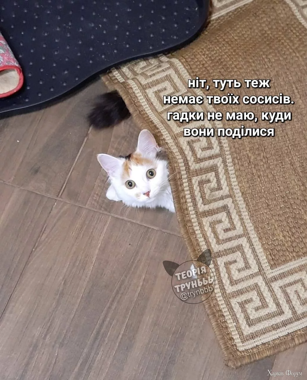  і сосиски.webp