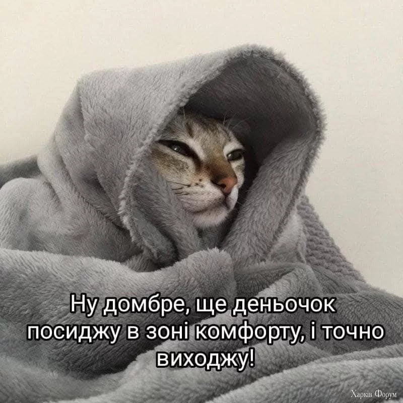 і зона комфорту.webp