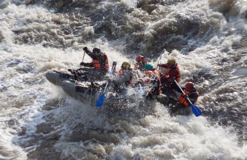 i2013110608490482.jpg