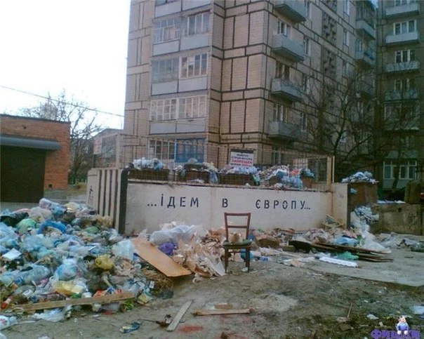 i2ZpeF1Gg0A.webp