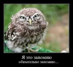 I33SAte6reo-a2-TopFbxsV-w82t9VBaCs6HoYBrB4g1fDcCxA.webp