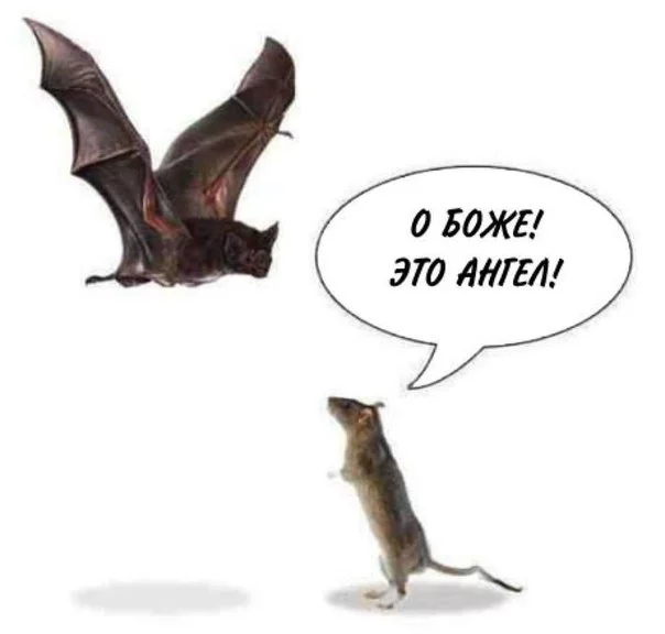 i9v1vpr5dUc.webp