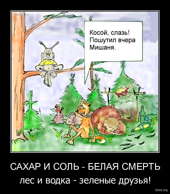 i_sol_-_belaya_smert_les_i_vodka_-_zeleniye_druzya.webp