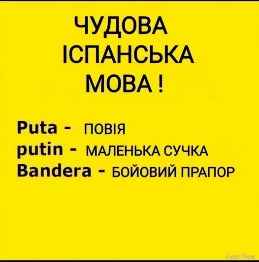 I_w27vGl-g-UICQ&_nc_zt=23&_nc_ht=scontent.fiev25-2.webp
