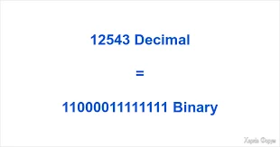 12543 in Binary ▷ How to Convert 12543 to Binary