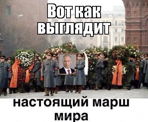 -Ic4lB_mEd4.webp