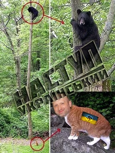 Id0vzotpvR0.webp