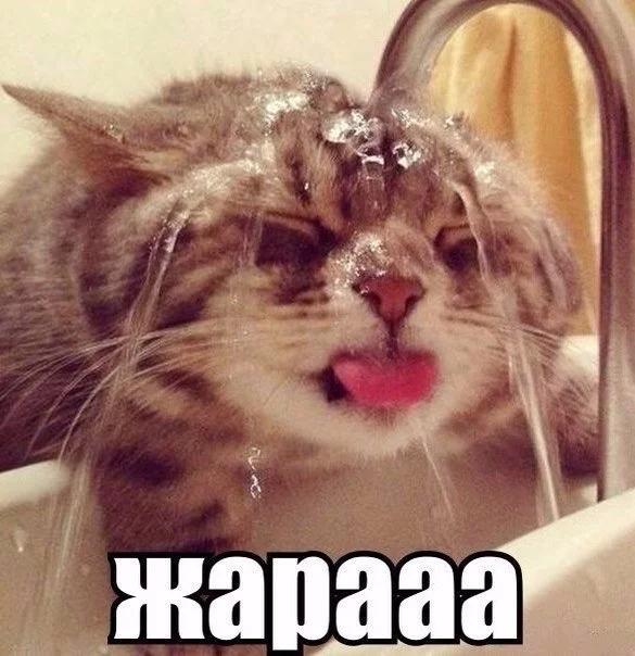 IduezHlumCA.webp